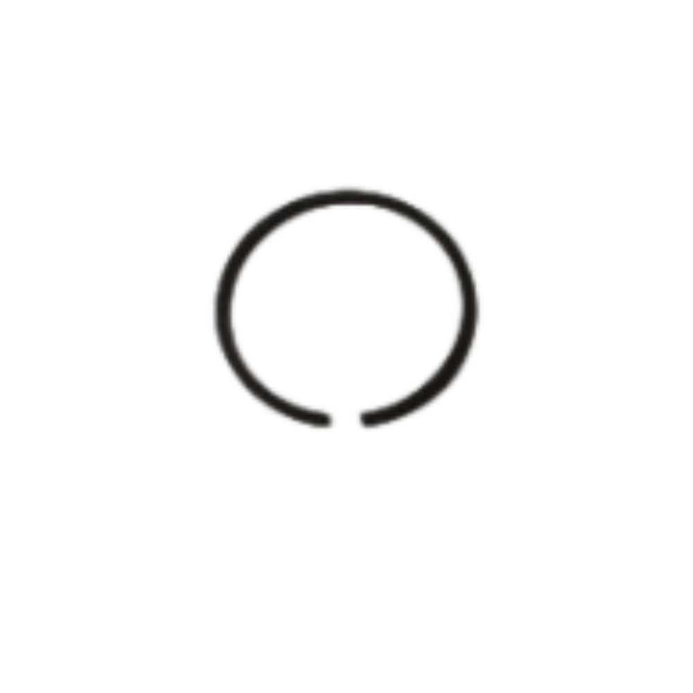 Retaining Ring 3010138X1, Massey Ferguson Tractors, Ned Murphy Tractors Ltd.