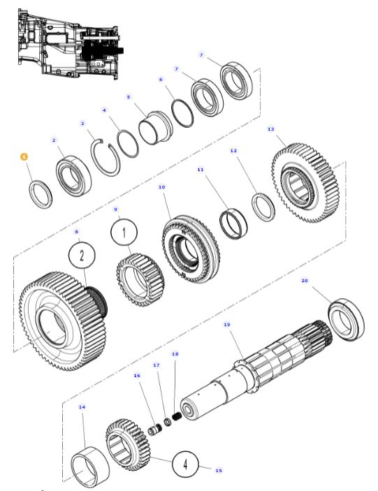 Transmission Output Shaft Shim 4300016M1 - Image 2